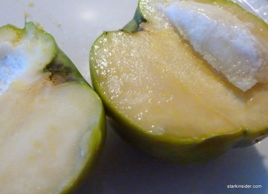 White Sapote