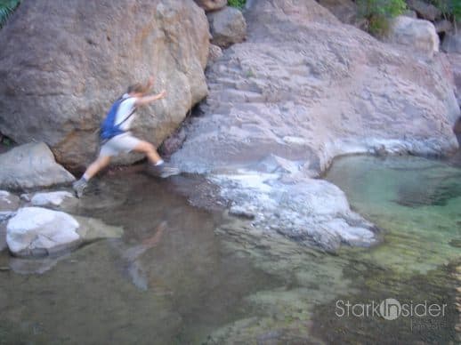 cid_34644552013122008-16f8