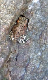 cid_34644552013122008-16ff