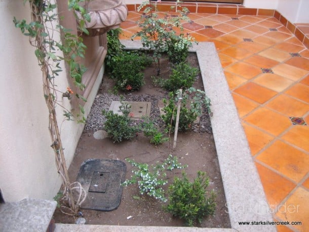 casa_del_lagarto_azul_loreto-bay-12