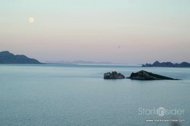 loreto-live-deborah-scanlon