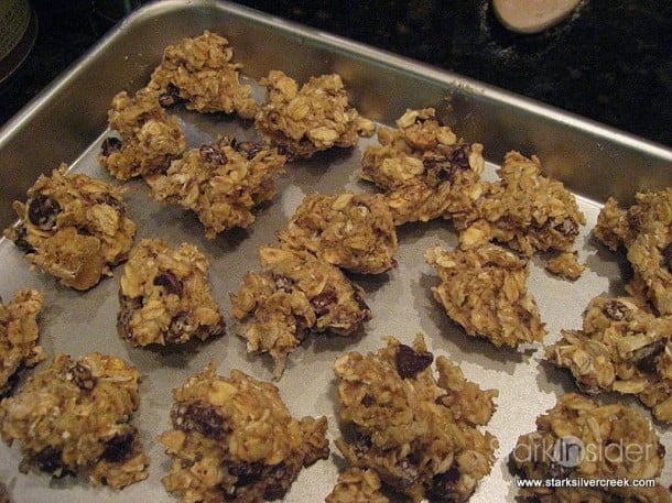 naught-but-nice-cookies-10