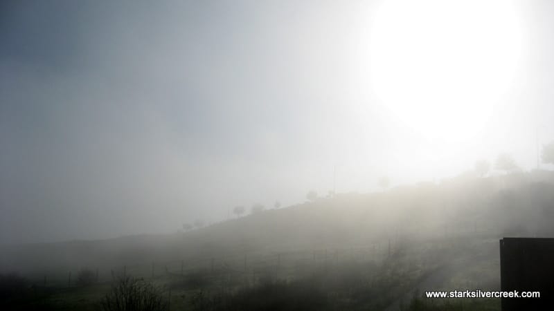 san-jose-foothills-morning