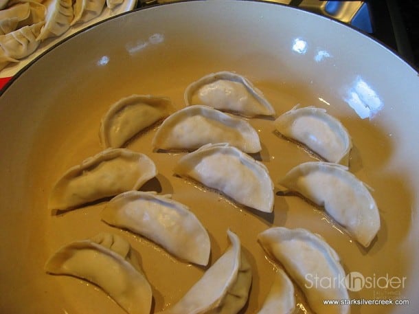 best-gyoza-recipe-1