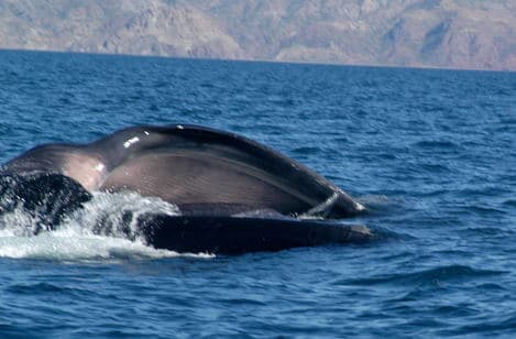 cid_78105532107022009-03bc