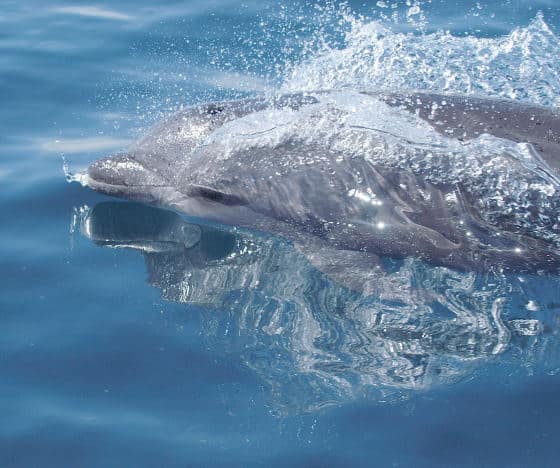 cid_78105532107022009-03d1 cid_78105532107022009-03d1