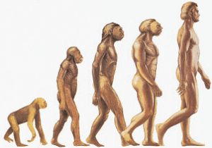 evolution evolution