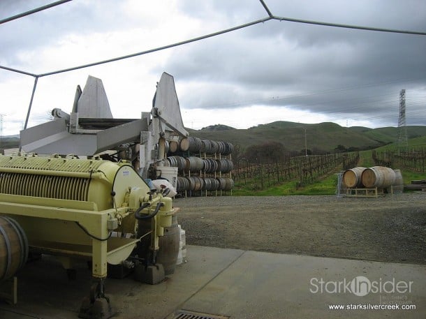 tenuta-vineyards-livermore-2028