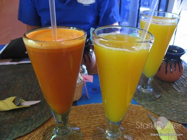 las-mandiles-loreto-bcs-15