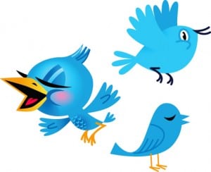 Twitter Blog Birds Twitter Blog Birds