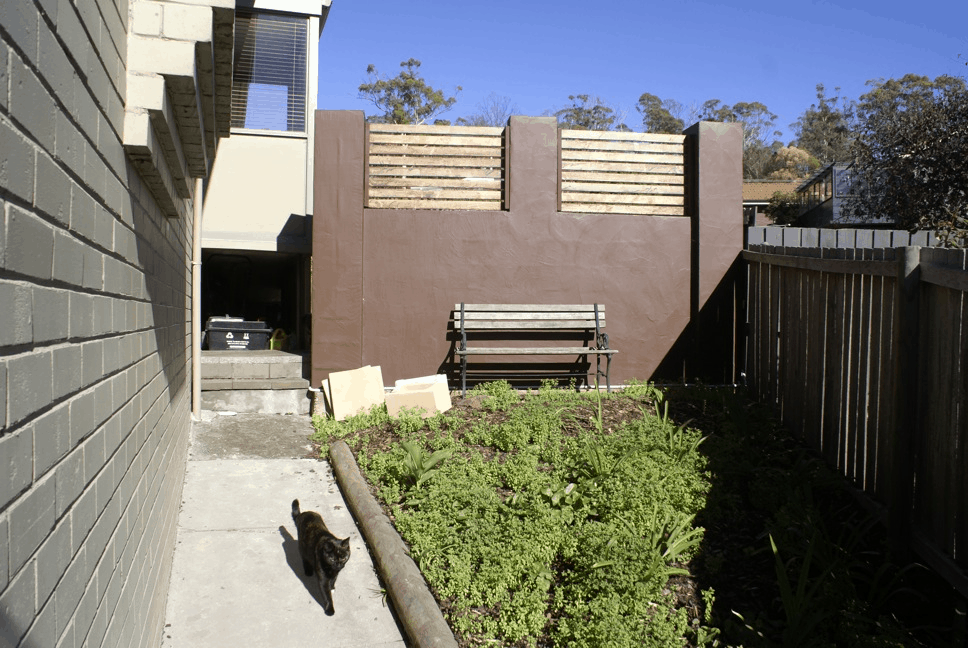 david-b-vegetable-planter-before david-b-vegetable-planter-before