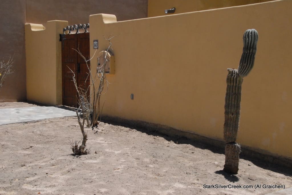 In Loreto Bay from Al Graichen's Blog In Loreto Bay from Al Graichen's Blog