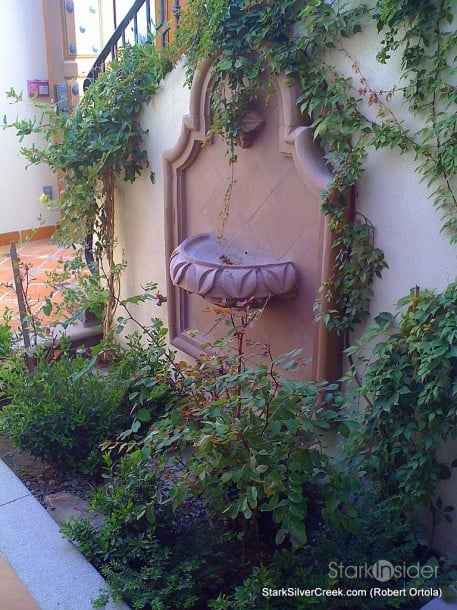 lot-av25-interior-garden