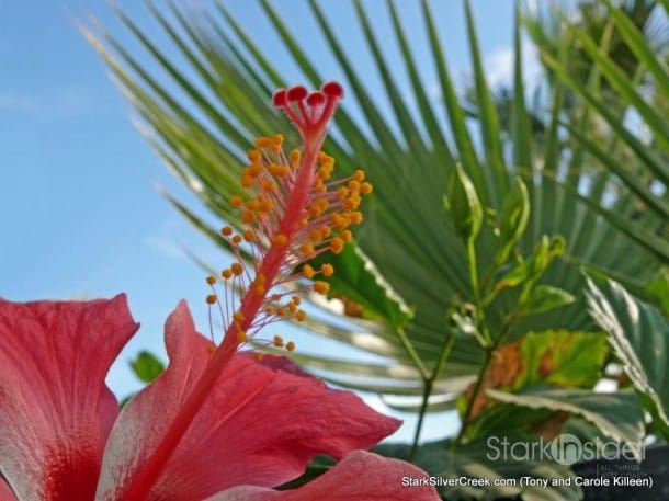 2010-loreto-calendar-submission-tony-carole-killeen-12