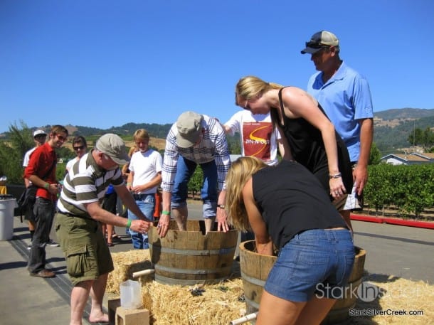 Crush in Sonoma - time for a wine country harvest celebration! Crush in Sonoma - time for a wine country harvest celebration!