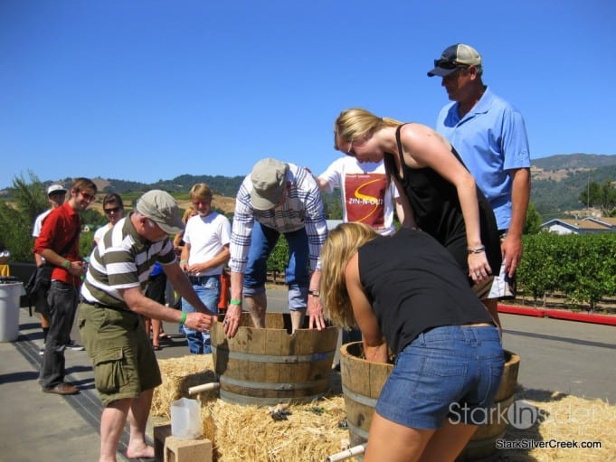 Crush in Sonoma - time for a wine country harvest celebration!