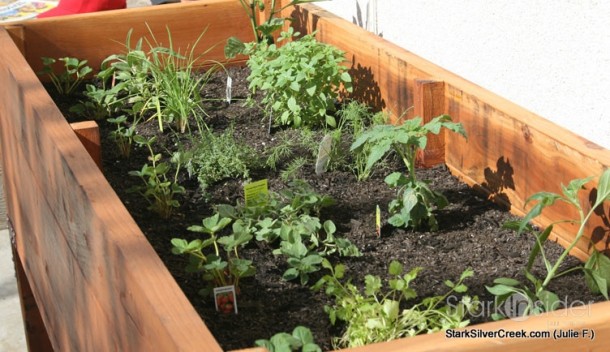 Vegetable Planter Box - photos, tips and DIY plans Vegetable Planter Box - photos, tips and DIY plans