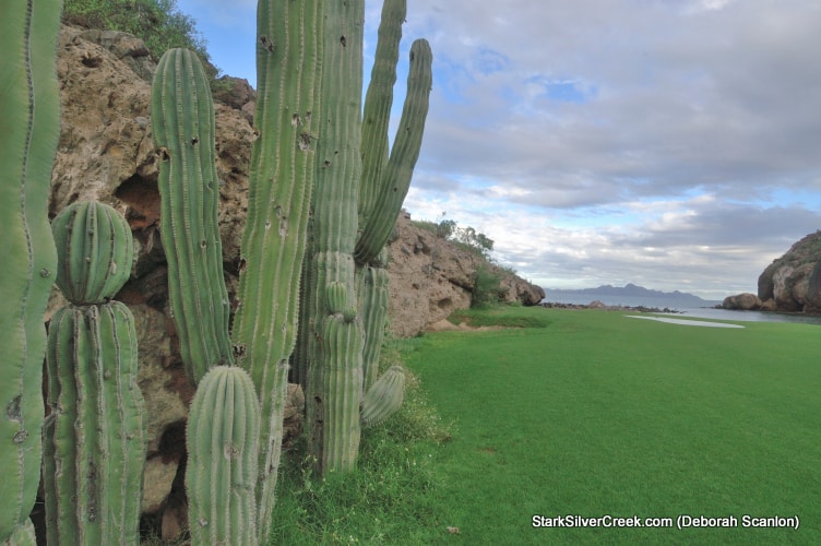 Deborah-Scanlon-Painting-with-Light-Loreto-1