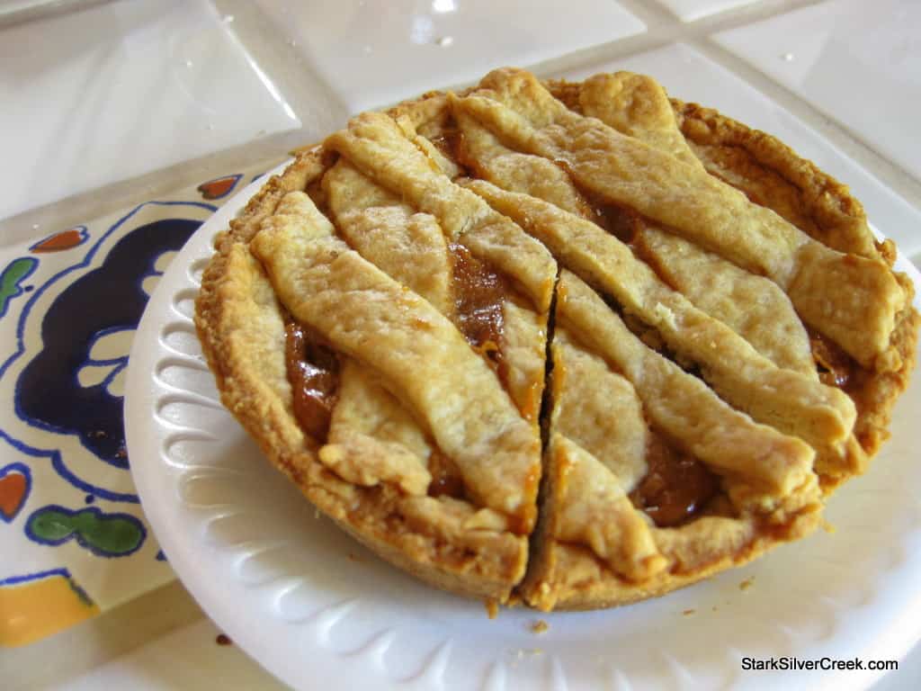 A butterscotch tart from the Sunday morning Farmers Market in Loreto, BCS waiting to be devoured on the breakfast bar at Casa McGraw.