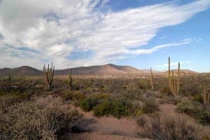 baja-desert baja-desert
