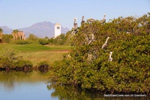 loreto-baja-estuary-loreto-bay-3-al-graichen