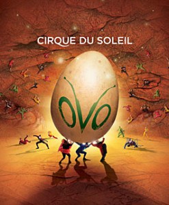 Cirque du Soleil OVO