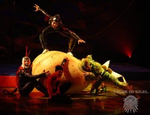 Cirque du Soleil OVO Cast Cirque du Soleil OVO Cast