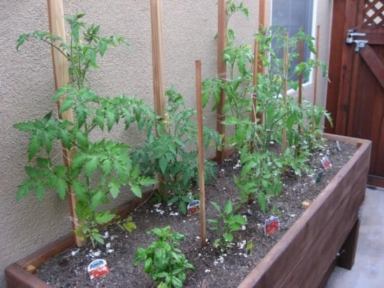 Loni's Vegetable Planter Box Download DIY plans for this planter box