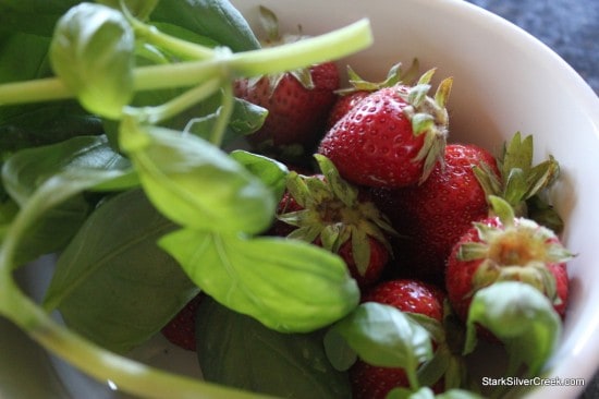 artichoke-crab-strawberry-vinegrette-salad-2