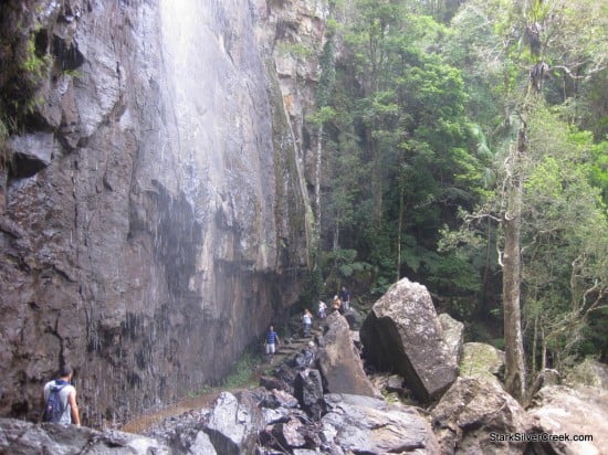 spring-brook-national-park-australia-20