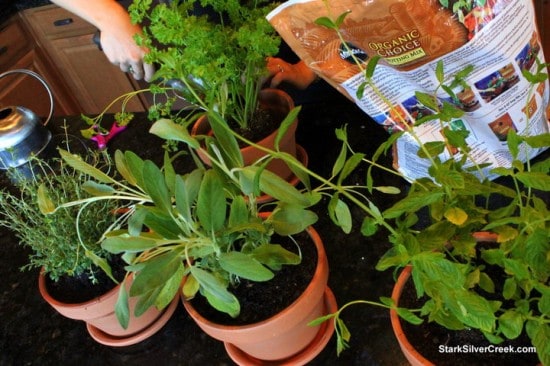 Herb gardening