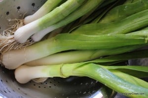 Pea-Leek-Chard-Slow-Cooker-Soup-1