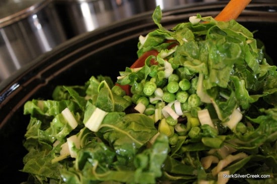 Pea-Leek-Chard-Slow-Cooker-Soup-6