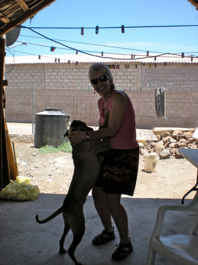 Pup Is Famous For His Hugs and I Love Getting As Many As I Can Pup Is Famous For His Hugs and I Love Getting As Many As I Can