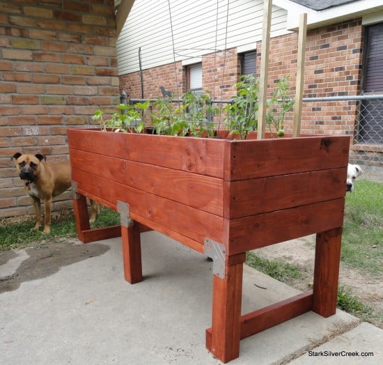 Vegetable-Planter-Box