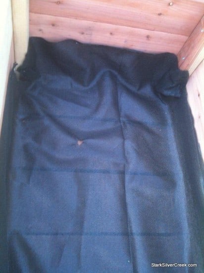Vegetable-Planter-Box-S-Curry-2