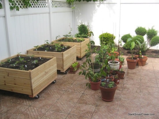 Vegetable-Planter-Box-Tom-7