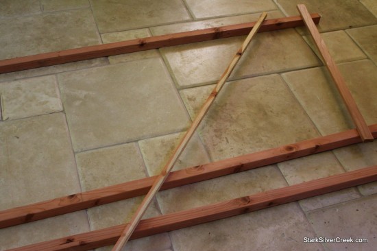 Courtyard-Garden-Trellis-Building-1