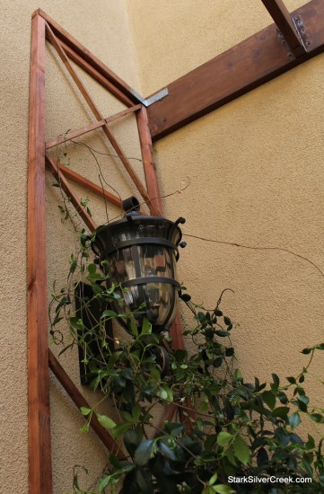 Courtyard-Garden-Trellis-Building-12