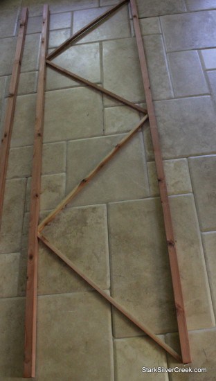 Courtyard-Garden-Trellis-Building-8