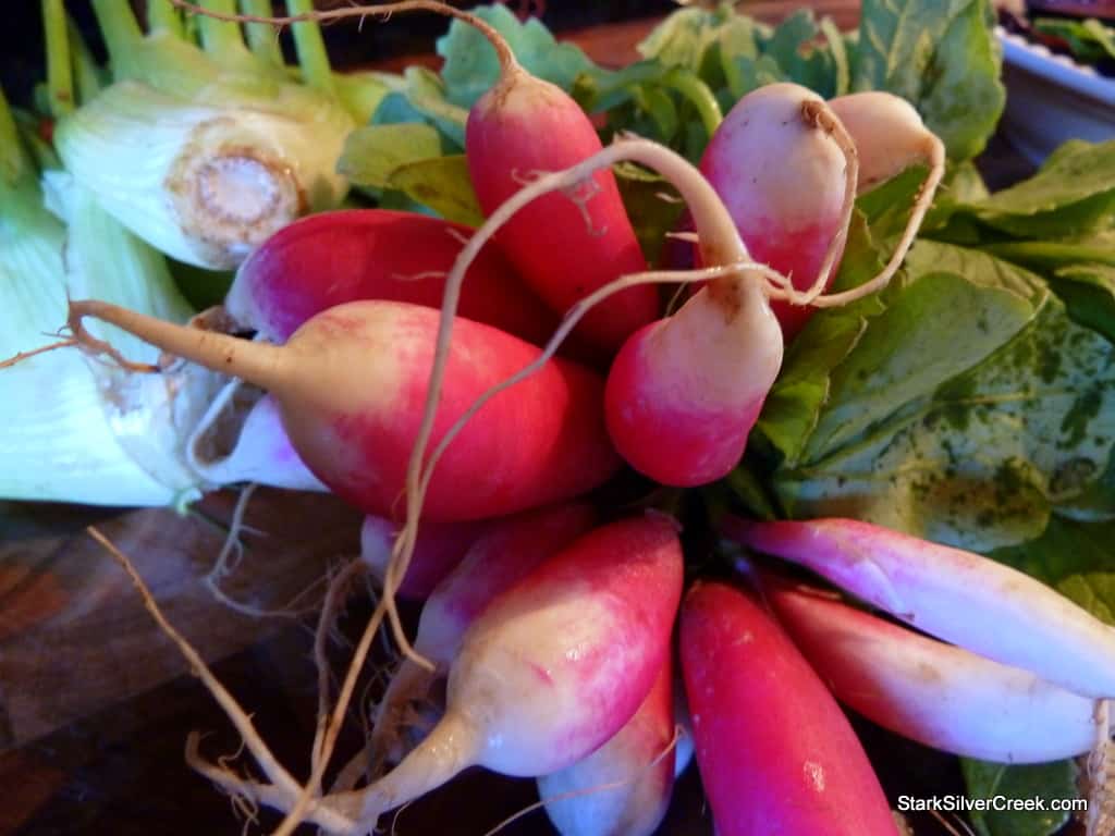 ‘Much ado about radishes’ Roasted Root Vegetable Recipe