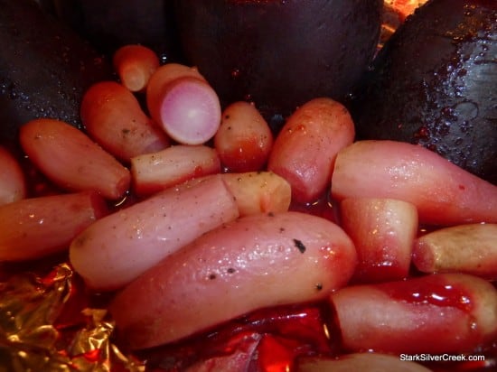 Roasted-Root-Vegetables-6