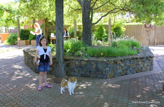Turnbull-Winery-Napa-4