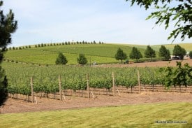 Walla Walla Wine Country Walla Walla Wine Country