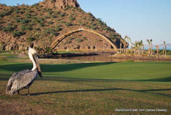 2011-Loreto-Calendar-Photo-Contest-JamesHawley-6