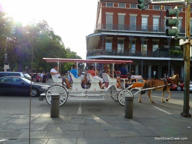 Horse Carriage in New Orleans A classic horse-drawn carriage in the French Quarter