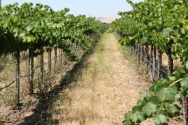 This is what it's all about. This is what it's all about.