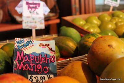 Mango Madness!