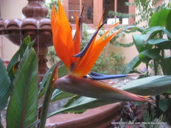 Loreto Calendar 2011 Submissions Loreto Calendar 2011 Submissions