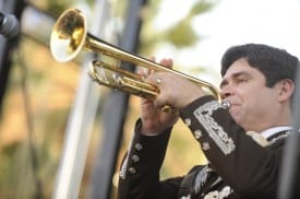 one trumpet one trumpet